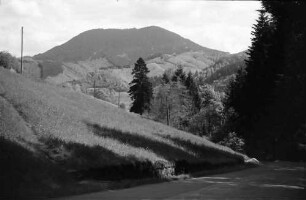 Bad Peterstal: Blick auf Löcherberg mit Straße