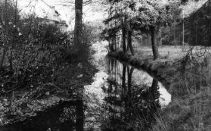 Wilsdruff-Herzogswalde. Tännichtmühle, Triebisch an der Brücke der Tännichtmühle