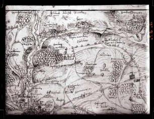 Ansicht 1607 in hohenlohischen Wildbannbeschreibung