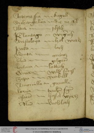 Glossar Pflanzennamen, lat./dt., nur zu Beginn alphabetisch