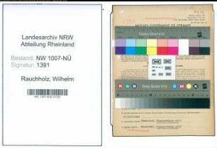 Entnazifizierung Wilhelm Rauchholz , geb. 15.11.1909 (Hotelier)