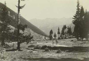 Österreich. Ötztaler Alpen. Kaunser Tal (rechtes Seitental des Inn)