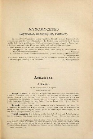 Die natürlichen Pflanzenfamilien : nebst ihren Gattungen und wichtigeren Arten insbesondere den Nutzpflanzen, 1,1 = I. Teil, Abt. 1. Myxothallophyta u.a.