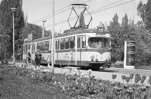 40jähriges Jubiläum der Albtalbahnstrecke Ebertstraße - Battstraße