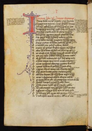 Lib. VII