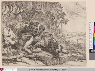 [Zwei Hunde ruhen neben einem Brunnen; Two Dogs Resting next to a Well]