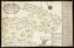 Hermersberg (Kr. Künzelsau) "Geometrischer Plan über einige Waldungen, das Heilige, Kemmeter Platte und Wolfsgruben" Beschreibung: Wald in Wasserfarben