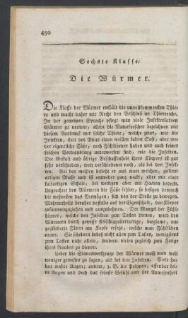 Sechste Klasse. Die Wuermer.
