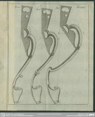 Tab. XXIII.