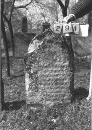 Grabstein 291 (Index: 99786533) Zustand: vollständig verwittert Maße HxBxT: 94x53x10 cm: Grabstein 291