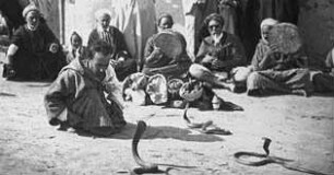 Am Rande der Sahara