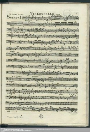 Violoncello