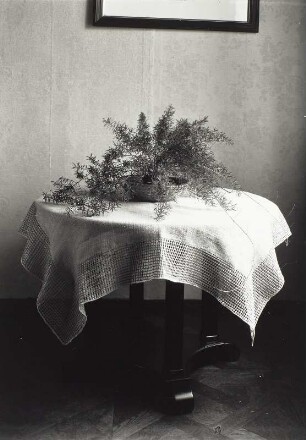 Tischdecke : Runder Tisch mit Tischdecke und Grünpflanze (wohl in der Wohnung der Fotografin)