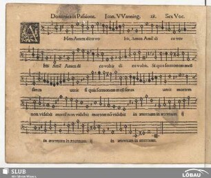 18. Amen amen dico vobis