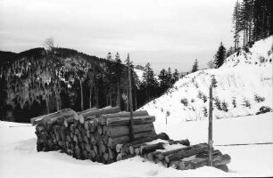 Rinken: Oberer Ausgang des Zastlertals; im Schnee