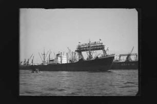 Ditmar Koel ex Blumenau ex Vossbrook (1952), Frachtschiff, Hanseatische Reederei, Hamburg, Bau-Nr. 431