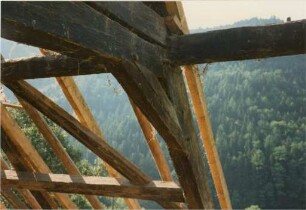 Schwarzwaldhaus Limberg 1
