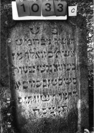 Grabstein 1033 (Index: 99751272) Material: Sandstein Zustand: verwitt/Stele nach hinten gekippt Maße HxBxT: 117x60x11 cm Beschreibung: Stele, doppelt eingezogener Rundbogenabschluß, Schriftfeld eingetieft Symbolik: Blätter: Grabstein 1033C