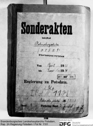 Nationalsozialisten, NSDAP