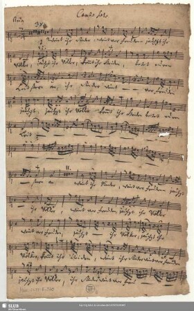 Stimmensatz [Schreiber: Opitz, Johann Siegmund u.a.]