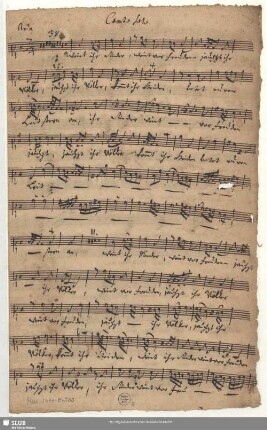 Stimmensatz [Schreiber: Opitz, Johann Siegmund u.a.]