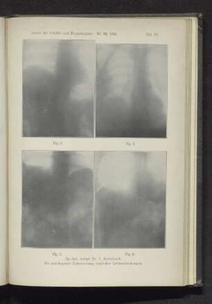 Taf. 17