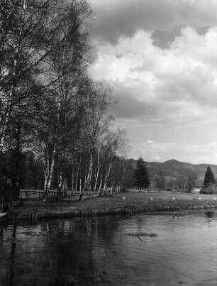 Landschaft mit Birkenallee und Gewässer (vielleicht im Allgäu)