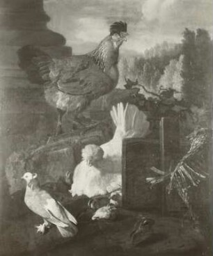 Der Hühnerhof
