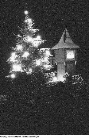 Winter, Landschaften, Max Hille beim Skilauf, beleuchteter Weihnachtsbaum, Januar-Februar 1956