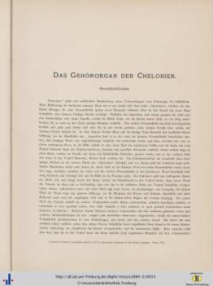Das Gehörorgan der Chelonier.