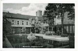Lauchhammer. Ost, Waldschule
