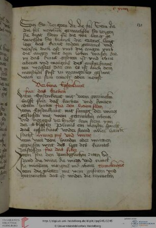 ‘Von Wurzeln und Kräutern’