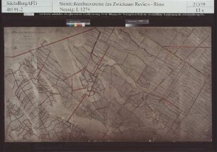 Schichtenkohlenflöz (2 1/2. Flöz), Unterbank (Bl. 4) mit Nachbringungen