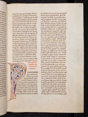 Bewohnte Initiale (Komm. zu Psalm 132): P(salmus brevis est): Rankenkletterer
