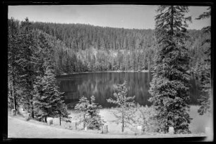 Mummelsee im Schwarzwald