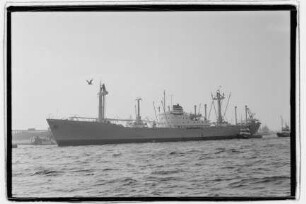 Transvaal (1962), DAL.- Deutsche Afrika-Linie, Deutsche Afrika Linien GmbH & Co., Hamburg