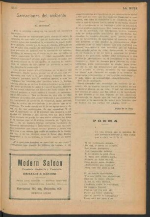 Sensaciones del ambiente : El atorrante