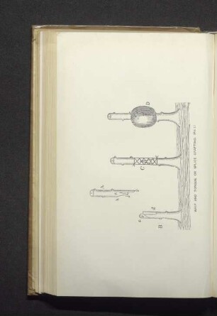 Whip and tongue or splice grafting.