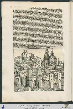De Polonia sarviatica