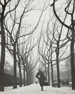 Ohne Titel (Allee Edgar Quinet, Paris)