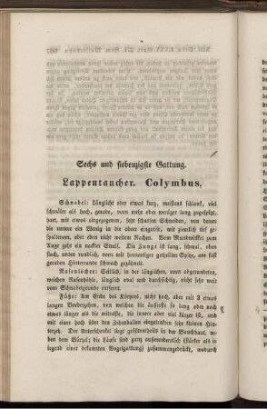 Sechs und siebenzigste Gattung. Lappentaucher. Colymbus.