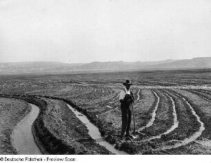 Colorado, Grand Valley, Landwirtschaft, Bewässerung, Grand Valley Project, Colorado