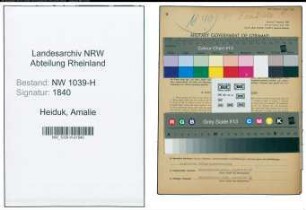 Entnazifizierung Amalie Heiduk , geb. 22.05.1908 (Schneiderin)