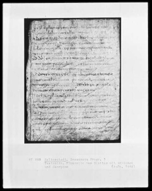 Textblatt