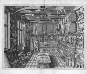 Musei Wormiani Historia