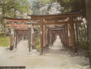 Torii-Gänge zum Fushimi-Inari Schrein 伏見稲荷大社のトリイ