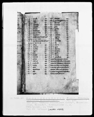 Hs. 653 & Braune Ottobeurer Codex & Necrologium Computus & fol 27v