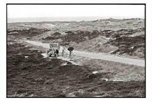 Strandkorb in den Dünen