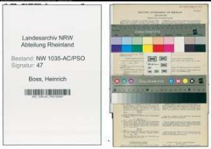 Entnazifizierung Heinrich Boss , geb. 29.03.1900 (Lehrer)
