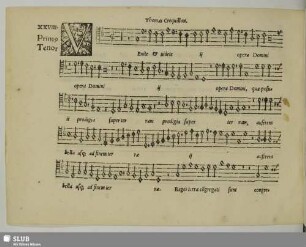 XXVIII. Crecquillon, Thomas: Venite et videte opera Domini